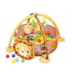 Kids Baby Gym Activity Toys, Arch, Protective Mesh, Storage Bag and 30 Balls.